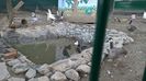 MANASTIREA CARAIMAN 14 OCT 2018 (8)