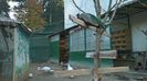 MANASTIREA CARAIMAN 14 OCT 2018 (11)
