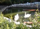 MANASTIREA CARAIMAN BUSTENI 14 OCT 2018 (4)