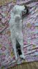 IMG-20180327-WA0000
