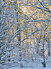 ... a nins un pic,     - 7°C