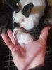 IMG-20190117-WA0024