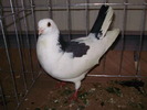 PB152657