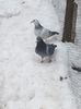 IMG-20190206-WA0042