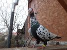 SAM_6471