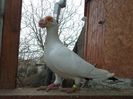 SAM_6479