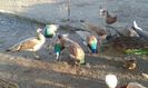 IMG-20190207-WA0008