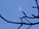 Luna in crestere in Berbec