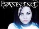 Trupa mea de suflet este Evanescence.Iubesc vocea lui Amy care este asa de superba si de