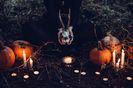 Sunt fascinata de horror si de paranormal.