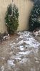 received_2209351259340245