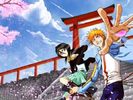 20070107_916_bleach---ichigo-et-rukia-02-_1_[1]