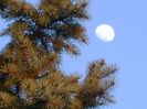 Luna in crestere in Rac