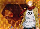 Bleach14[1]