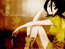 Nleach-Rukia-Kuchiki-Large-1428-1[1]