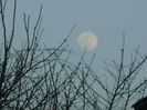 Luna in crestere in Leu