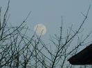 Luna in crestere in Leu
