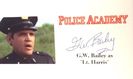 Academia De Politie