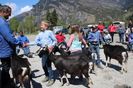 Copii fericiti cu Alpinele