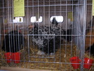 PB142510