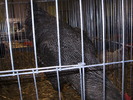 PB142516