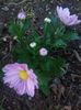 received_900312920144373