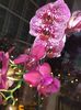 6B954990-E250-47D6-8A05-634C7EBCE1E0