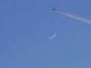 Luna noua in Berbec