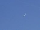 Luna noua in Berbec