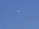 Luna noua in Berbec