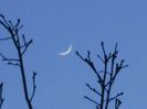 Luna in crestere in Taur