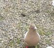 20190311_133641-1