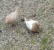 20190311_133851-2