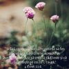 6D98191A-7032-4E94-B630-343E5E8F60CB