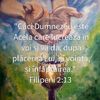 DA11F733-532E-4BDF-8003-E7E086D99842