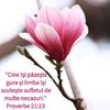BDF75342-6415-4D90-A19F-78354C0E7471