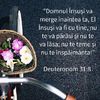 4DE1411F-E6CE-49CF-B662-F47A70138169