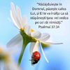 81DB1618-58E1-40D7-B91F-E6C850E463F5