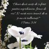 96447321-DA32-4C2F-9C48-BD2872774418