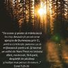 E0C83591-FC12-4686-82F4-FFCF2CDCB738