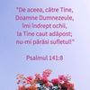 8AD3C51E-31C7-473F-965C-C10C922AB299
