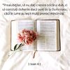 728F8DB5-89F2-463B-B078-A7876419FFBC