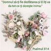 50E68F3F-62C9-4289-A904-F25631A89EF9