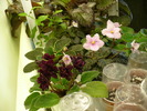 P1210539