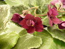 P1210540