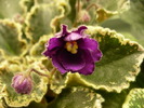 P1210544