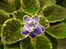 P1210556