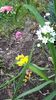 IMG-20180527-WA0225