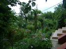 DSC01599