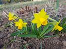 Tete a tete